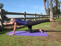 Hips Abs &amp; Lower Back